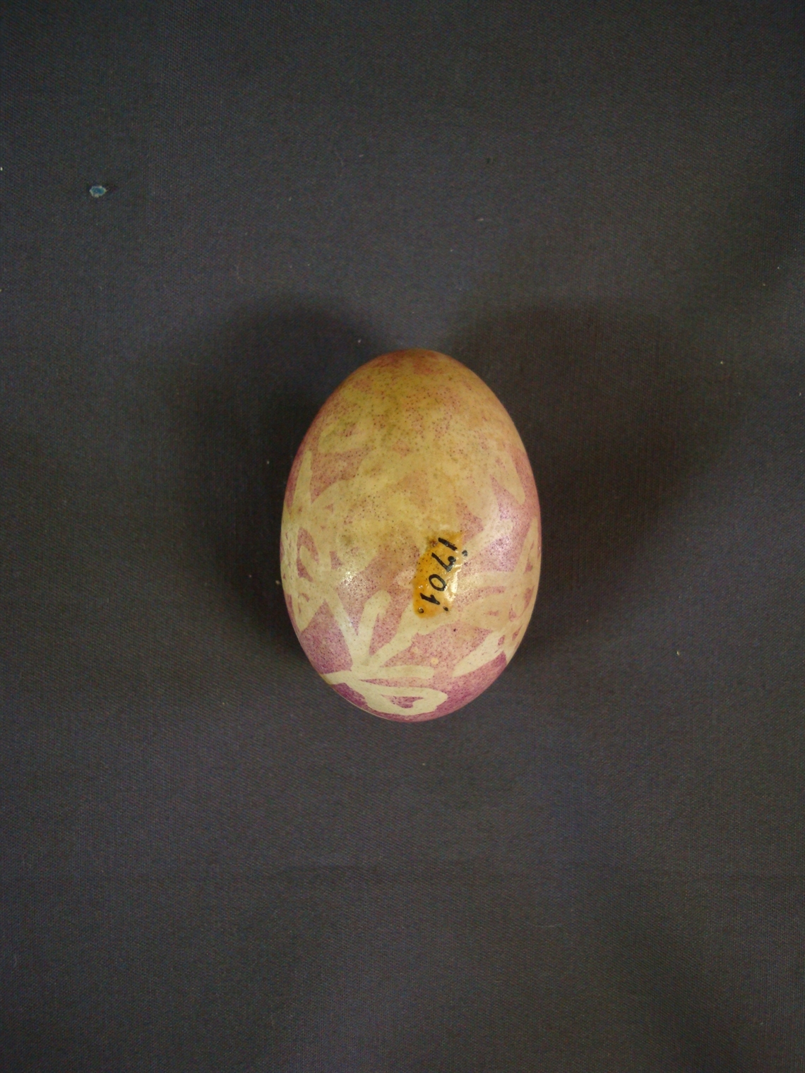 Image description
